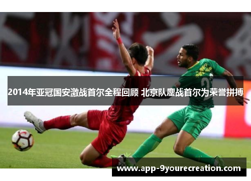 2014年亚冠国安激战首尔全程回顾 北京队鏖战首尔为荣誉拼搏
